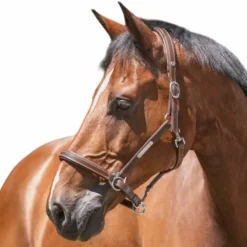 Norton - Licol cuir grooming havane