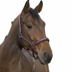 Norton - Licol et longe brillant prune/ marine/ or rose