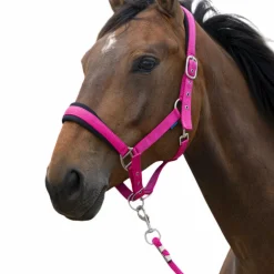Norton - Licol et longe Large framboise