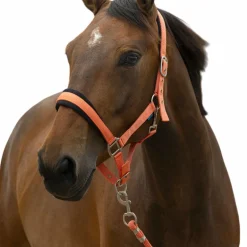 Norton - Licol et longe Large corail