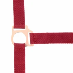 Norton - Licol et longe nylon rose gold/ bordeaux