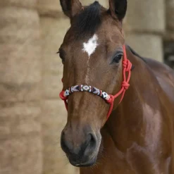 Norton - Licol ethologique pearl rouge