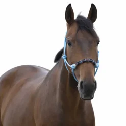 Norton - Licol ethologique pearl bleu