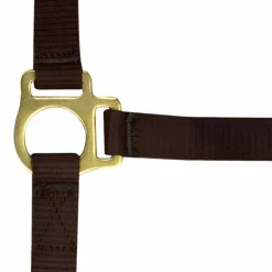 Norton - Licol foal + longe brun