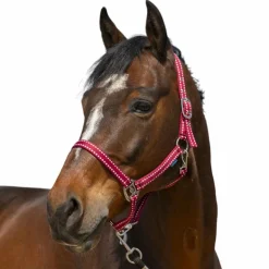 Norton - Licol Grooming bordeaux