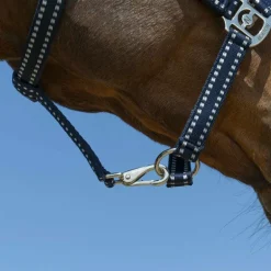 Norton - Licol Grooming marine