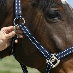 Norton - Licol Grooming marine