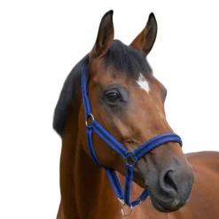 Norton - Licol nylon doublé néoprène bleu/ noir