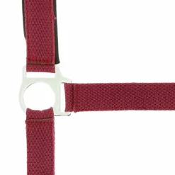 Norton - Licol nylon doublé néoprène bordeaux