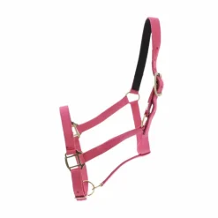 Norton - Licol nylon doublé cuir fuchsia