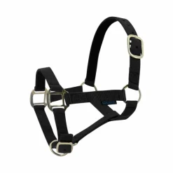 Norton - Licol nylon doublé cuir noir