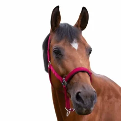 Norton - Licol nylon doublé néoprène rouge