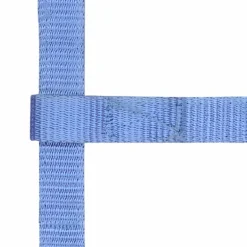 Norton - Licol réglable mini bleu ciel