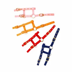 Norton - Licol réglable mini bleu ciel