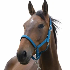 Norton - Licol Satine bleu canard