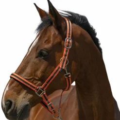 Norton - Licol Satine corail/ noir