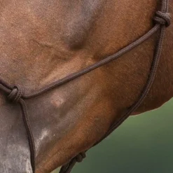 Norton - Licol éthologique doux marron