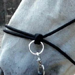 Norton - Licol éthologique avec rênes noir