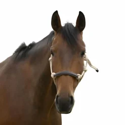 Norton - Licol éthologique corde/ synthétique beige