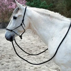 Norton - Licol éthologique avec rênes bleu roi