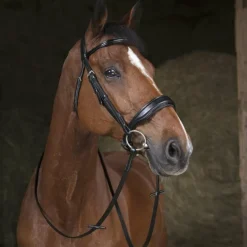 Norton - Rênes de filet 16mm noir poney