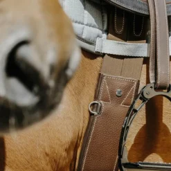 Norton - Sangle anatomique Magnet havane