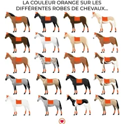 Norton - Tapis/ amortisseur confort orange