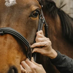 Norton Pro - Bridon Apophyse noir