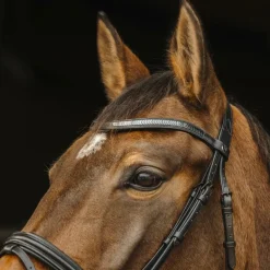 Norton Pro - Bridon Galon noir