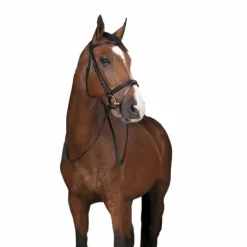 Norton Pro - Rênes en caoutchouc noir