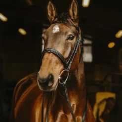 Norton Pro - Rênes lisses noir