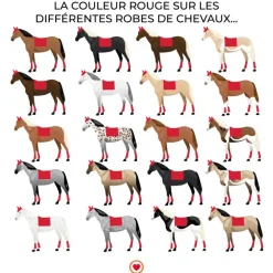Oxxer - Tapis de dressage intemporels rouge