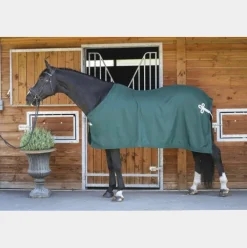 Paddock Sports - Chemise de présentation vert 0g