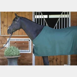 Paddock Sports - Chemise de présentation vert 0g