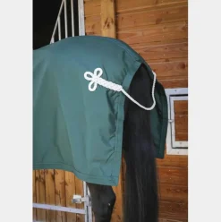 Paddock Sports - Chemise de présentation vert 0g