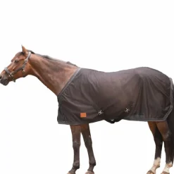 Paddock Sports - Chemise séchante Mesh noir