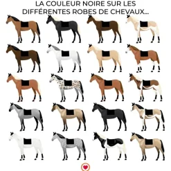 Paddock Sports - Tapis de dressage prems écusson noir