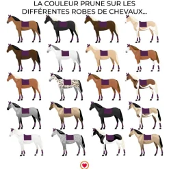 Paddock Sports - Tapis de selle prems prune