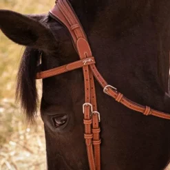 Pénélope - Bridon Elégance cognac