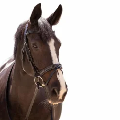 Pénélope - Bridon Smoothie avec rênes noir