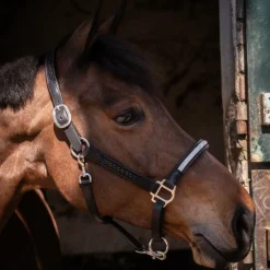 Pénélope - Licol Harmonie noir