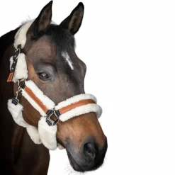 Pénélope - Licol mouton et cuir noir/ beige