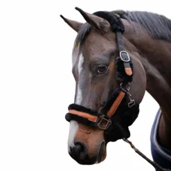 Pénélope - Licol mouton et cuir noir/ noir