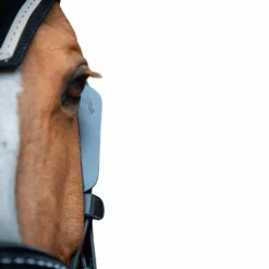 Pénélope - Oeillères Blinkers noir (x2)