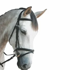 Privilege Equitation - Bridon Royan combiné avec rênes noir