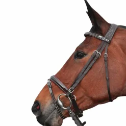 Privilege Equitation - Bridon Cannes avec rênes