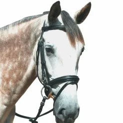 Privilege Equitation - Bridon Touquet avec rênes noir