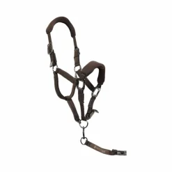 Pro Confort - Ensemble licol ergonomique et longe Dorai en mesh marron