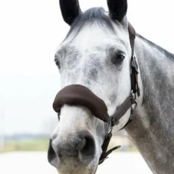 Pro Confort - Ensemble licol ergonomique et longe Dorai en mesh marron