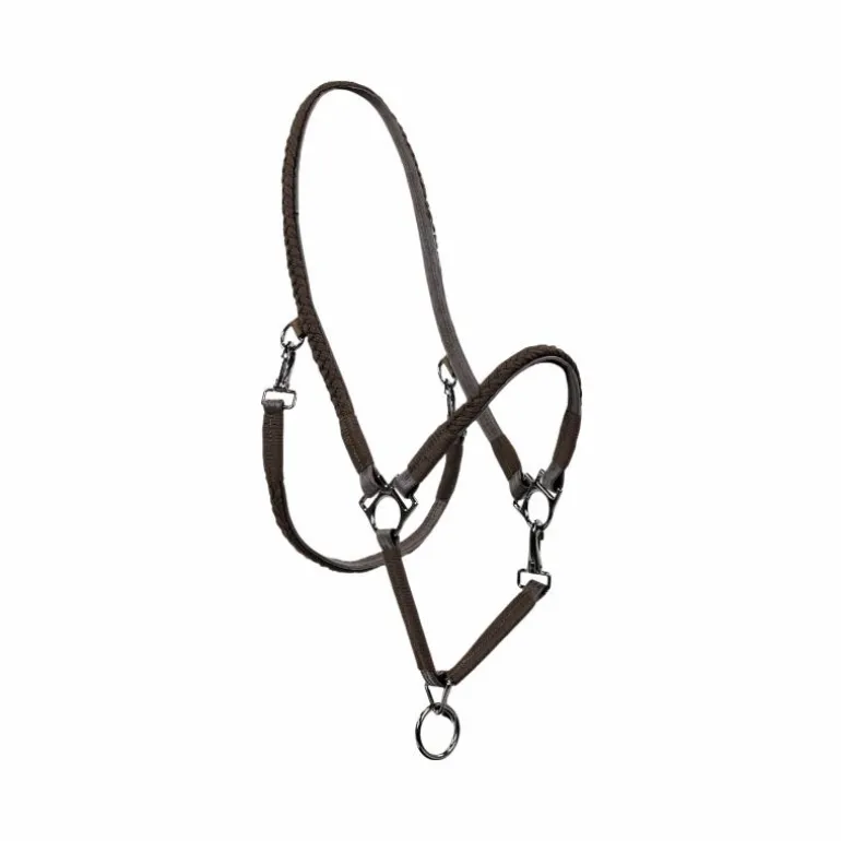 Pro Confort - Licol de grooming Dialou marron